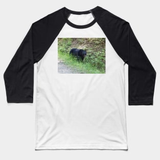 Black Bear Baseball T-Shirt